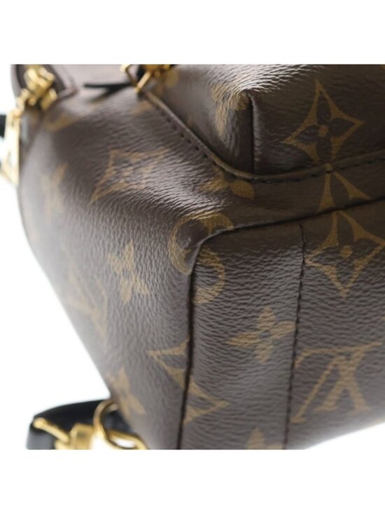 Louis Vuitton Palm Springs Backpack Mini Monogram Leather Brown main image 5
